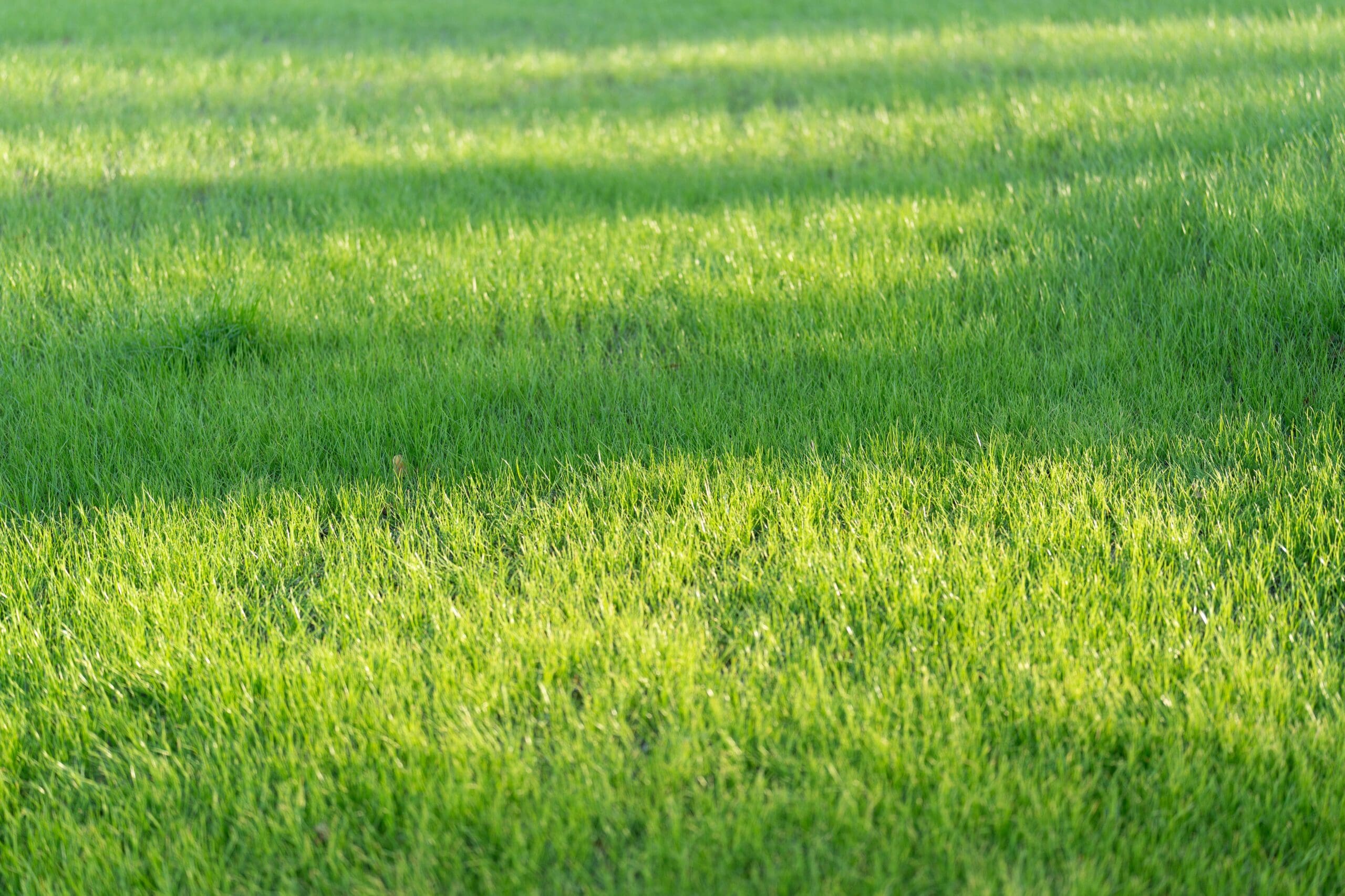Afubukina rerjqkx473a unsplash